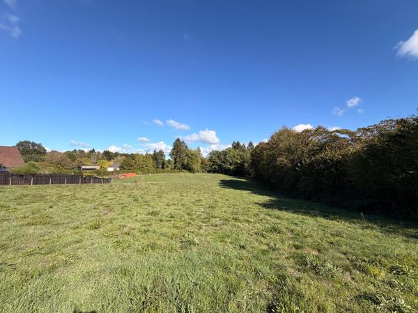 Terrain à bâtir