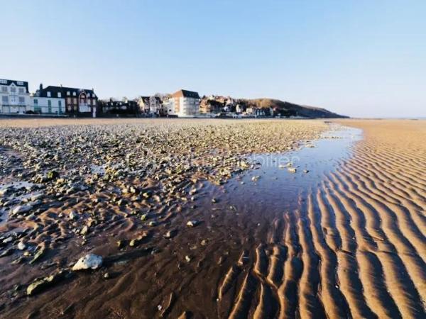 Envie d’un pied-à-terre en bord de mer ou d’un investissement dans une station balnéaire prisée de la Côte Fleurie ? 

À Villers-sur-Mer, à seulement 100 mètres de la plage et à quelques minutes de Deauville, venez découvrir ce charmant studio d’environ 26,09 m², situé au sein d’une résidence recherchée.

Fonctionnel et bien agencé, il offre un agréable séjour avec kitchenette, un espace nuit intelligemment séparé par une cloison amovible, ainsi qu’une salle d’eau et un wc séparé. 

Son beau balcon constitue un véritable atout : vous pourrez y profiter d’une magnifique vue sur la mer et admirer de superbes couchers de soleil, dans un cadre propice à la détente.

Une place de stationnement extérieure privative vient compléter ce bien, apportant un confort supplémentaire au quotidien, que ce soit pour vos séjours ou pour vos futurs locataires.

Ce studio réunit tous les atouts pour profiter pleinement du littoral normand dans un environnement agréable, à proximité immédiate de la plage, des commerces et des animations de Villers-sur-Mer.

Si votre financement est validé et que ce bien correspond à votre projet, contactez-moi. Nous prendrons le temps d’échanger sur ses caractéristiques et conviendrons ensemble d’une prochaine visite....

En attendant portez vous bien & restez au frais !!