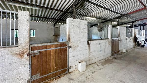 Dpt Dordogne (24), à vendre BERGERAC propriété P7 - terrain de 87000 m2