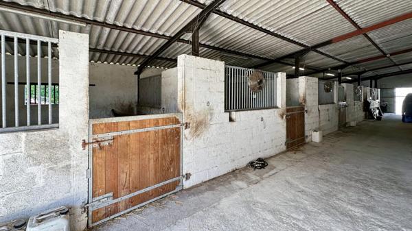Dpt Dordogne (24), à vendre BERGERAC propriété P7 - terrain de 87000 m2