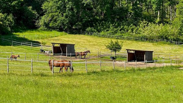 Dpt Dordogne (24), à vendre BERGERAC propriété P7 - terrain de 87000 m2