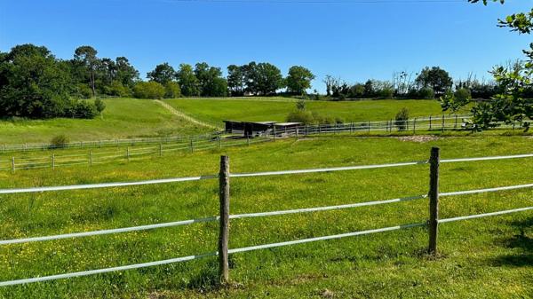 Dpt Dordogne (24), à vendre BERGERAC propriété P7 - terrain de 87000 m2