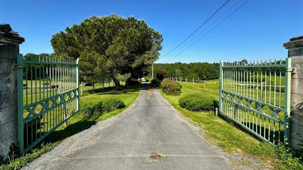 Dpt Dordogne (24), à vendre BERGERAC propriété P7 - terrain de 87000 m2
