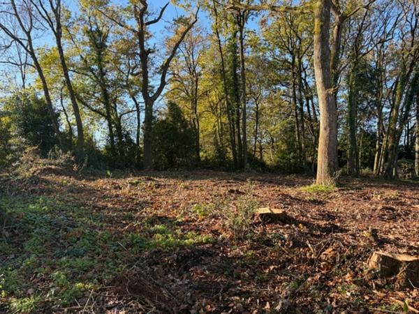 MAREUIL SUR LAY DISSAIS (85320) AU CALME ABSOLU ADORABLE TERRAIN ARBORE A BATIR 854M² HORS LOTISSEMENT