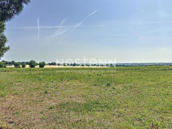 Terrain constructible de plus de 1500 m² situé à Chalonnes Sur Loire au calme avec belle vue dégagée sur la campagne,