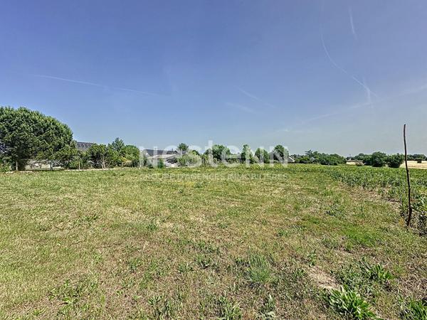 Terrain constructible de plus de 1500 m² situé à Chalonnes Sur Loire au calme avec belle vue dégagée sur la campagne,