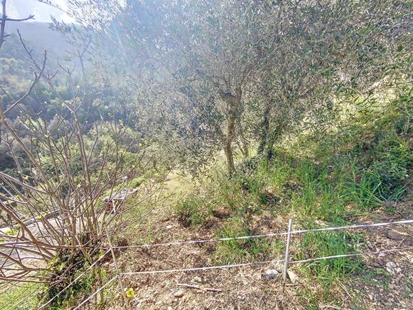 Achat maison Gorbio - 5 pièce(s) - 120 m² - 655 000 €