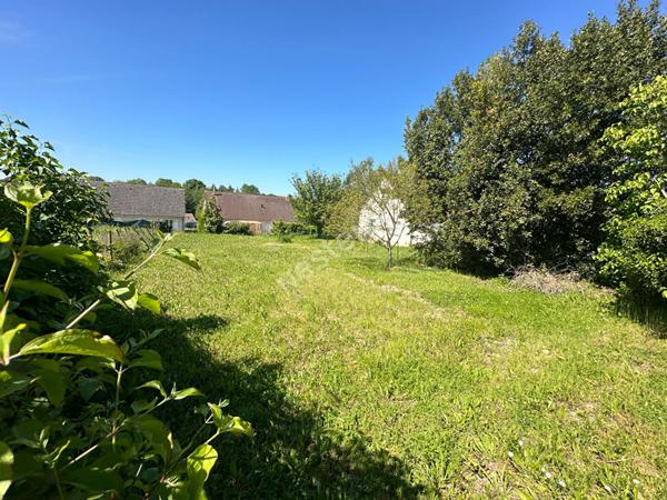 Agréable terrain constructible d'environ 360 m² à vendre à LUCEAU (72500)