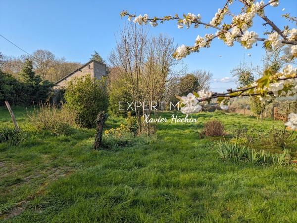 Durdat-Larequille (03310) Maison avec 3 chambres et dépendances sur 1,1 Hectare