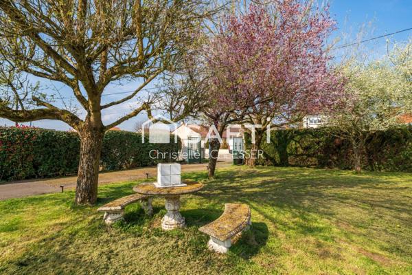 Maison de Plain-Pied au Cœur d'un Écrin de Verdure