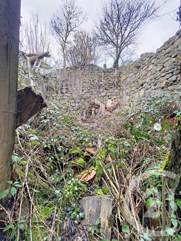 Maison à vendre  1 pièce - 67 m2 SANSSAC L EGLISE - 43