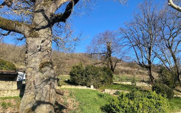 Maison à vendre    14 pièces •  Lautrec