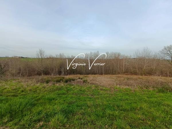 Terrain à vendre de 2 469 m²