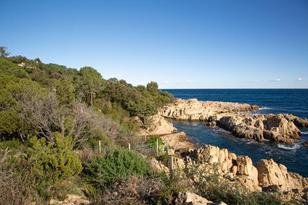 Porto-Vecchio (20137) Propriété pieds dans l'eau vue mer
