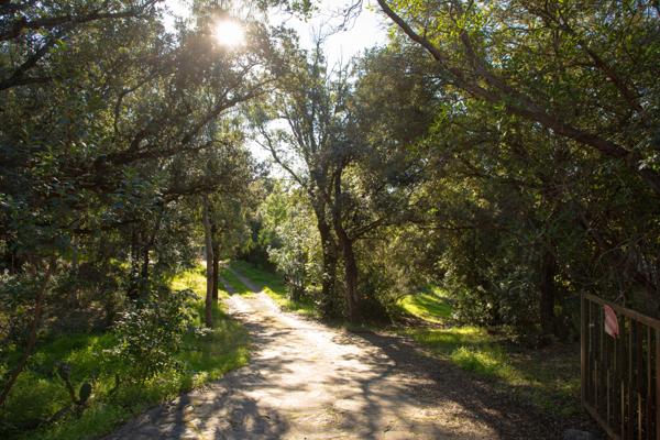 Porto-Vecchio (20137) Propriété pieds dans l'eau vue mer