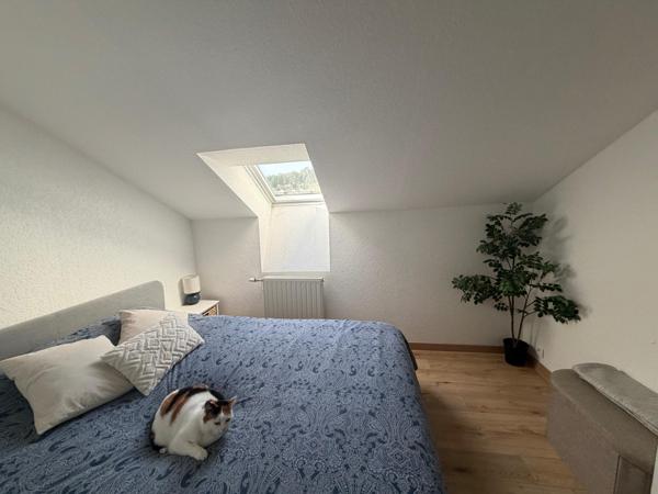 Bel appartement spacieux  en plein coeur de remiremont