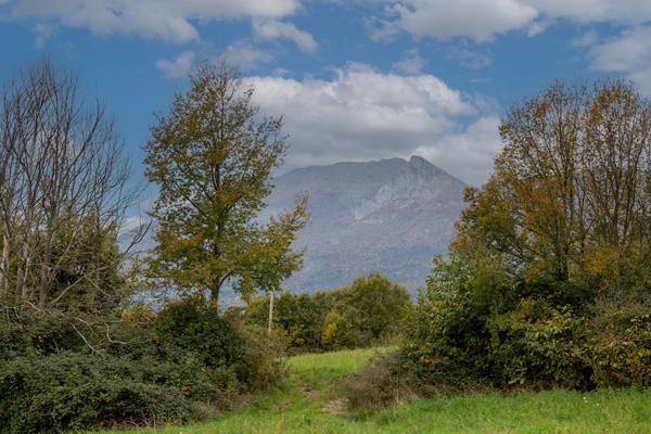 Terrain 596 m2