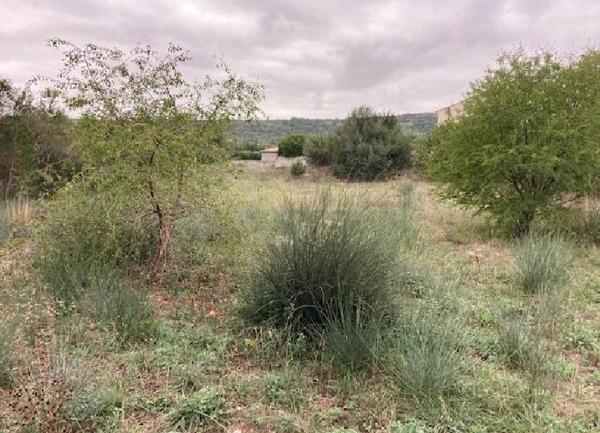 Terrain à vendre    Laval-Pradel