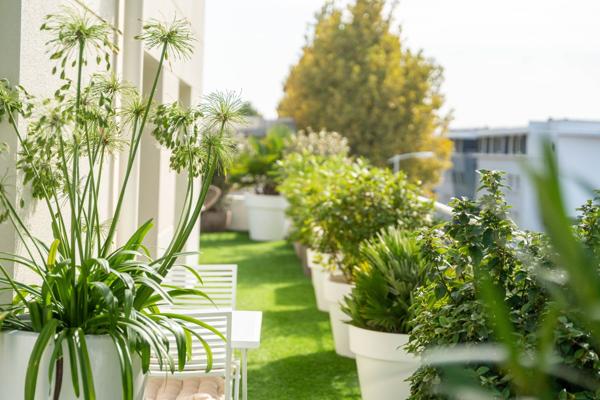 Vente Appartement de luxe La Rochelle 3 Pièces 51 m²