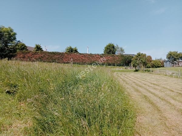 Terrain de 853 m2 à viabiliser, proche centre d'Yssingeaux quartier calme
