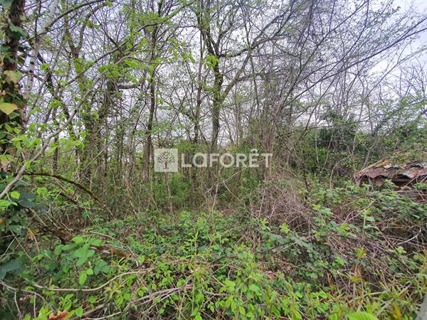 Achat terrain Reyniès - 1380 m² - 78 500 €