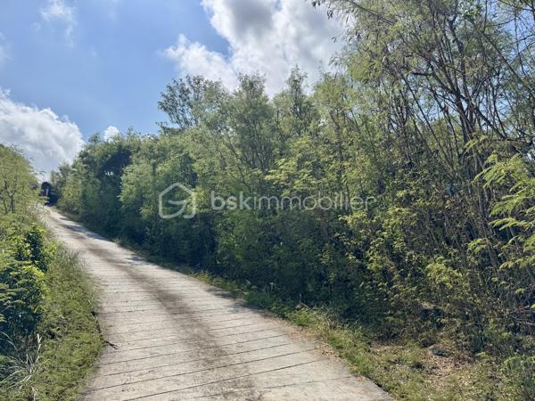 Votre futur projet d'architecte commence ici !!

Idéalement situé dans le secteur très prisé des Avirons, à une altitude parfaite de 120 mètres, venez découvrir cette belle parcelle de 605 m². Avec sa vue imprenable sur l'océan et son environnement calme, ce terrain est une véritable page blanche pour y bâtir la villa de vos rêves ou réaliser un investissement de choix.

CARACTÉRISTIQUES PRINCIPALES :
- Superficie : bornage 605 m² (Dimensions : env. 42 m de long x 13 m de large).
- Emplacement de choix : Les Avirons, secteur Bois de Nèfles.
- Zonage : Zone UC du PLU 2024, offrant de formidables droits à bâtir.
- Emprise au sol autorisée : 60 % maximum (potentiel exceptionnel).
- Hauteurs généreuses : Jusqu'à 8 m à l'égout du toit et 11 m au faîtage.

UN TERRAIN POUR UN PROJET SUR-MESURE :
Ce terrain brut, accessible via une servitude de passage actée et sécurisée, présente un profil altimétrique d'environ 20 %. Une typographie idéale pour imaginer une maison contemporaine en demi niveaux ou sur pilotis. Avec une orientation Nord-Ouest, c'est la configuration idéale pour profiter des couchers de soleil toute l'année !

À noter : Le terrain est vendu non viabilisé. Des travaux de défrichement, de raccordement aux réseaux (à proximité), de terrassement et de soutènement sont à prévoir pour préparer votre construction, avec l'opportunité de surélever vos pièces de vie pour sublimer encore davantage la vue mer !

LE MOT DE L'EXPERT :
Le prix de commercialisation a été rigoureusement étudié et tient déjà compte des travaux d'aménagement et de viabilisation à la charge de l'acquéreur. C'est l'opportunité rare d'acquérir une adresse premium aux Avirons et de concevoir une maison audacieuse qui dominera le littoral. Les parcelles offrant une telle vue et de telles possibilités se font extrêmement rares sur le marché de l'Ouest. Ce bien ne restera pas longtemps disponible.