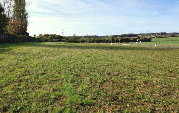 Vente Terrain Ecoyeux   