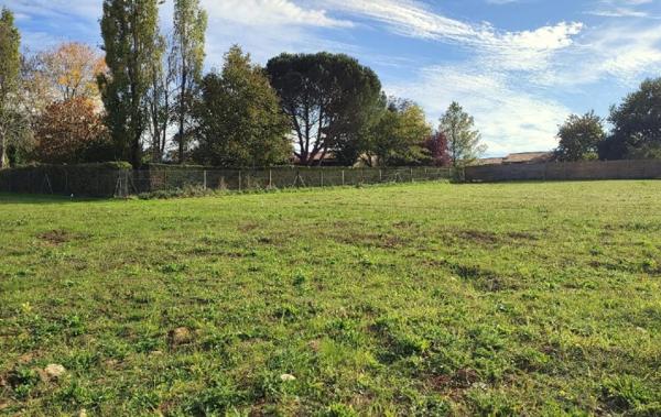 Vente Terrain Ecoyeux   