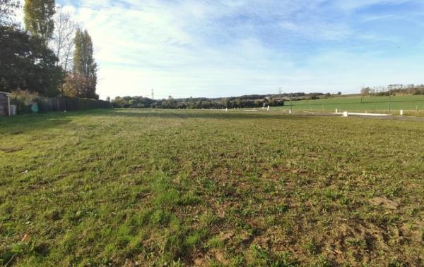 Vente Terrain Ecoyeux   