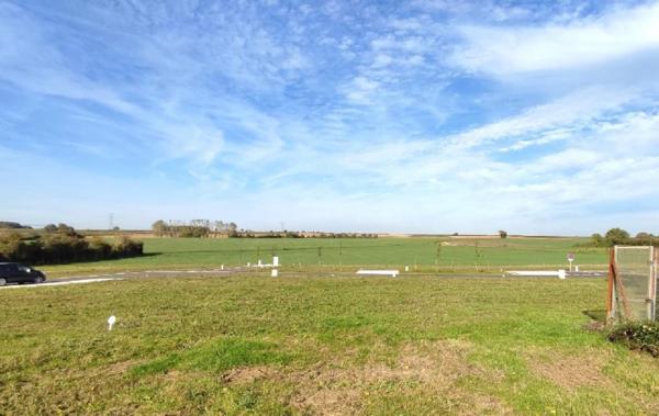 Vente Terrain Ecoyeux   