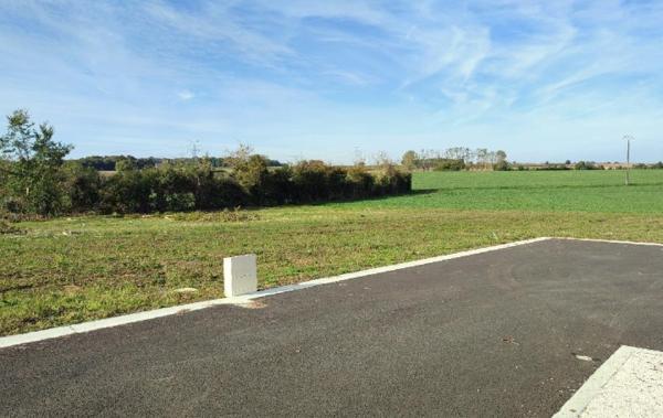 Vente Terrain Ecoyeux   