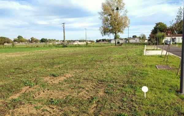 Vente Terrain Ecoyeux   