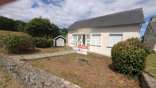 Maison avec jardin