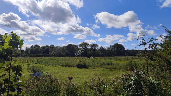 CUCQ - Quartier Roger Salengro - Terrain à bâtir- 298 m2 - Exposé SUD