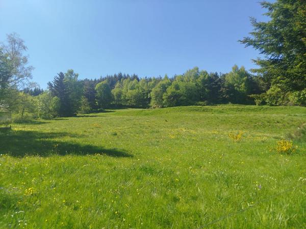 Terrain Constructible Chaudeyrac 6438m²