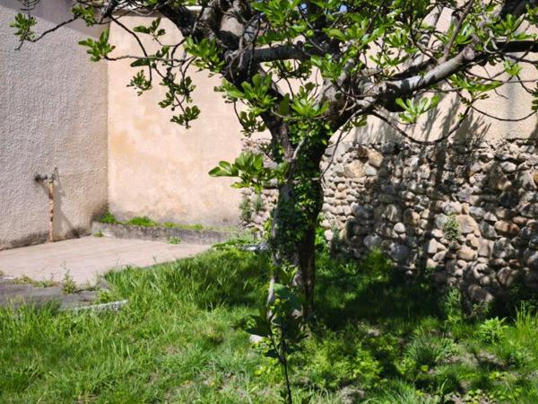 MAISON  AVEC 2 APPARTEMENTS - 2 GARAGES - JARDIN -MAZAMET