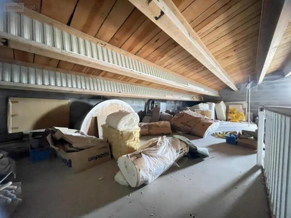 Achat - Fonds et/ou murs commerciaux Saint-Christophe 17220 227 m 2 1471 m 2