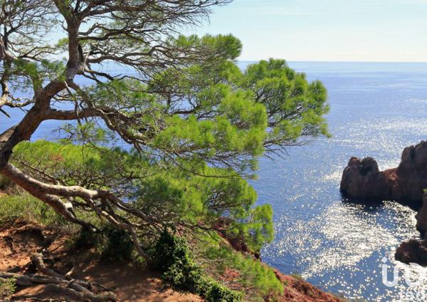 Maison à vendre 5 pièces 149 m² Le Lavandou