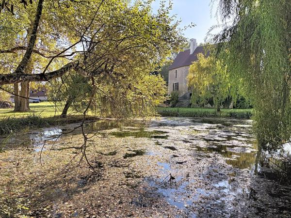 Château féodal du Xe siècle avec parc et rivière