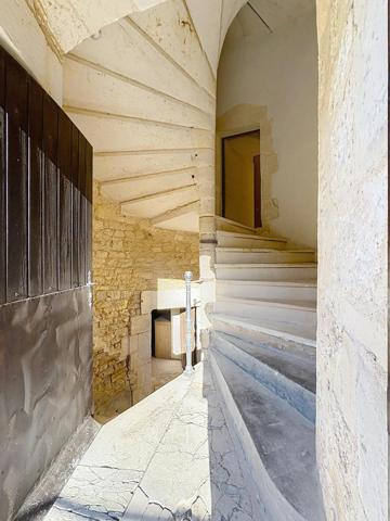 Château féodal du Xe siècle avec parc et rivière