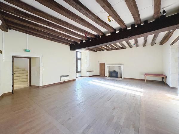 Château féodal du Xe siècle avec parc et rivière