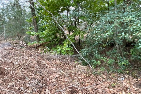 Vente terrain à bâtir à Grayan-et-l'Hôpital, Campagne