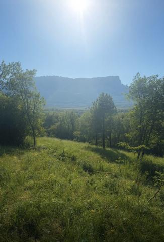Terrain dans Les Mollettes