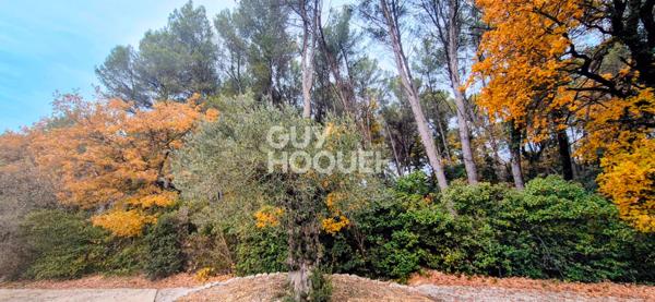 Bouc-Bel-Air - 13320 - Quartier Valcros - Prpriété de 220 m2 sur parcelle de 5200 m2 au calme absolu.