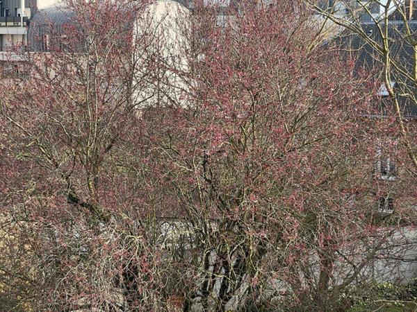 Appartement Bretigny Sur Orge 3 pièce(s) 67.28 m2