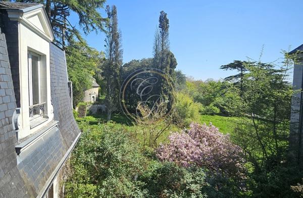 Maison à vendre 14 pièces SAVENNIERES (49)
