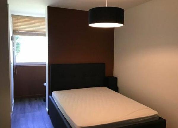 Appartement à louer    3 pièces •  Écully