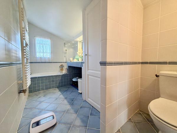 Maison avec vue sur la rivière, gîte et double garage. Saint-Sylvestre-sur-Lot (47140)