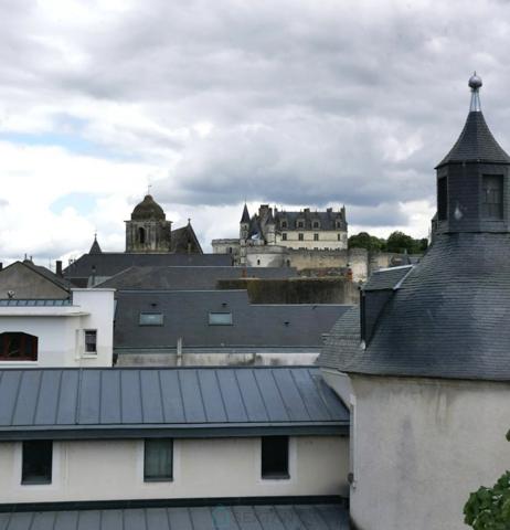 Appartement T1 en hyper centre d'Amboise