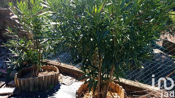 Maison à vendre 4 pièces 75 m² Graissessac